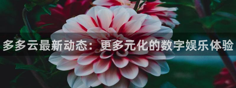 杜邦娱乐平台登录入口：多多云最新动态：更多元化的数字娱乐体验