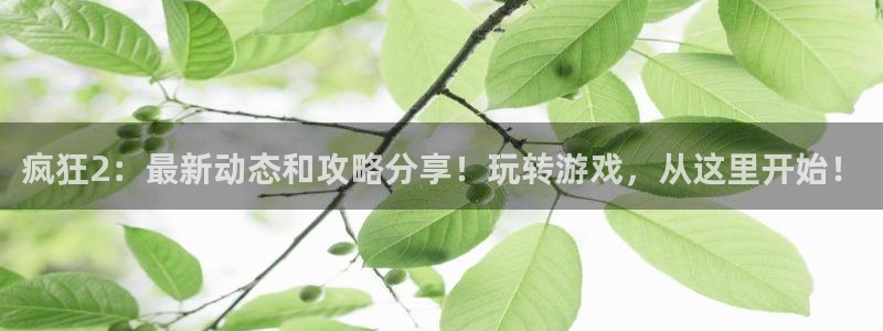 杜邦娱乐直属