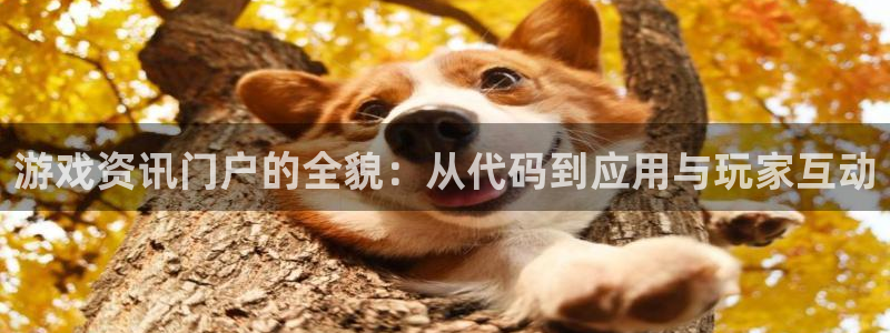 杜邦娱乐平台官网登录：游戏资讯门户的全貌：从代码到应用与玩家