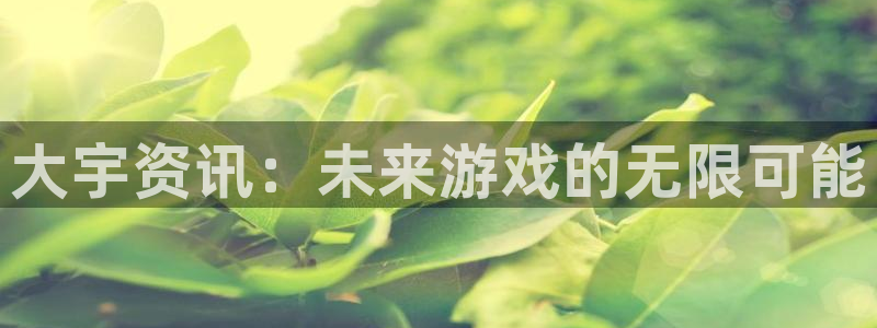 杜邦娱乐登陆地址：大宇资讯：未来游戏的无限可能