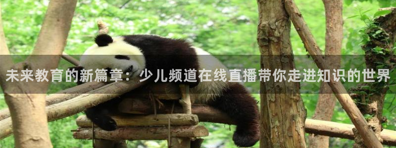 极速直播吧体育直播：未来教育的新篇章：少儿频道在线直播带你走进知识的世界