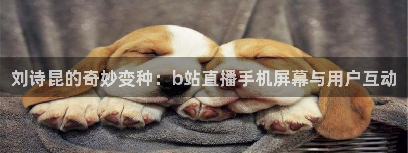 nba98直播吧：刘诗昆的奇妙变种：b站直播手机屏幕与用户互动