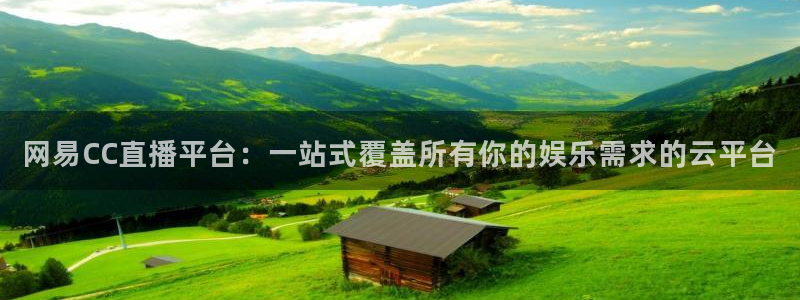 天天直播吧：网易CC直播平台：一站式覆盖所有你的娱乐需求的云平台